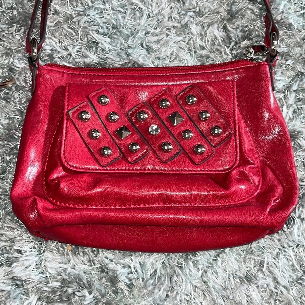 This is a Sieanna Ricchi purse